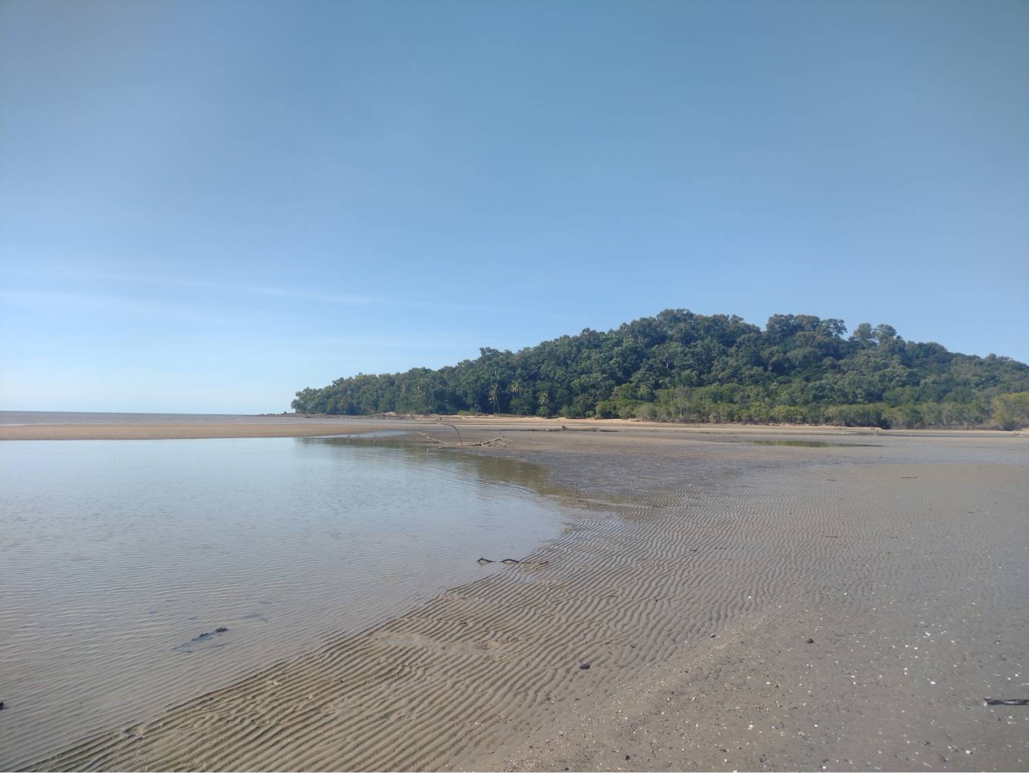 A beach with marks in the sand