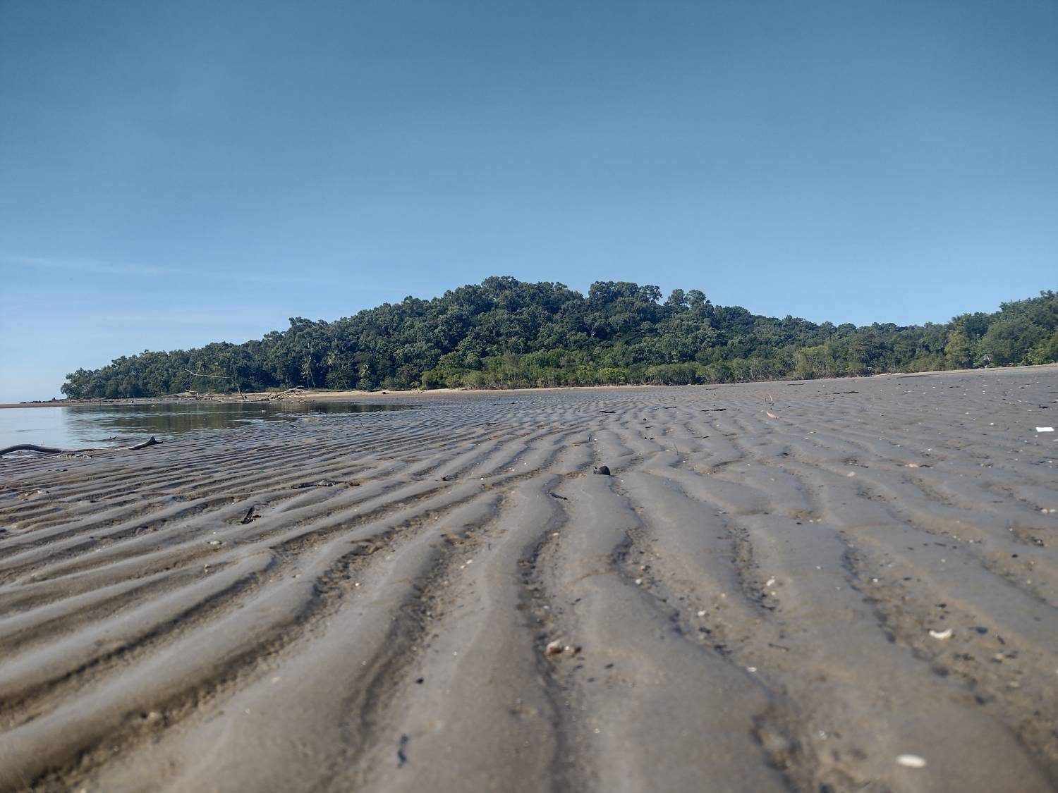 A low shot of a beach with marks in the sand