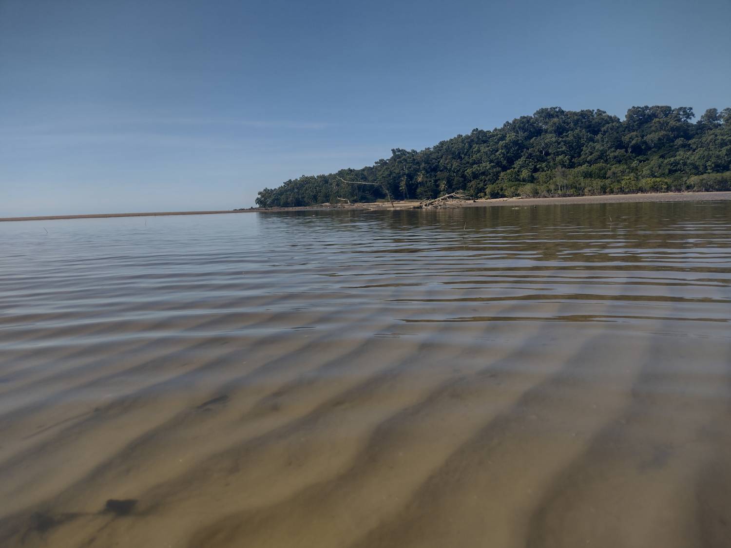 A low shot of water on the beach