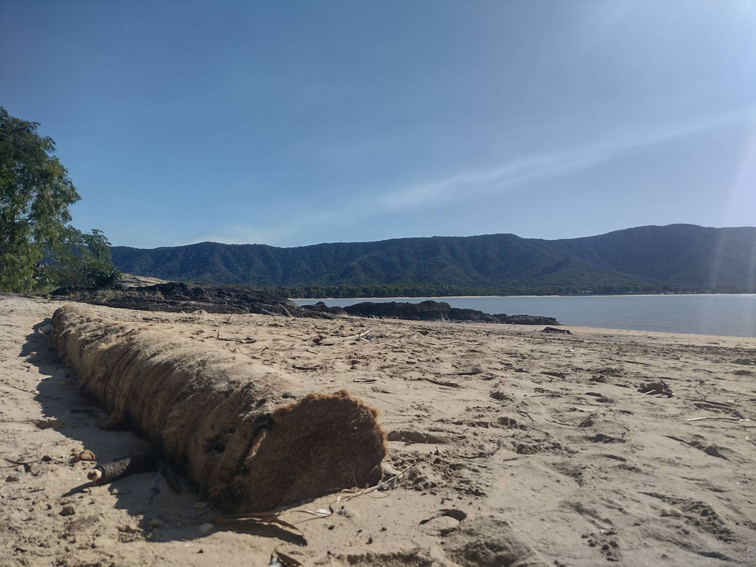 A low shot of a log on the beach