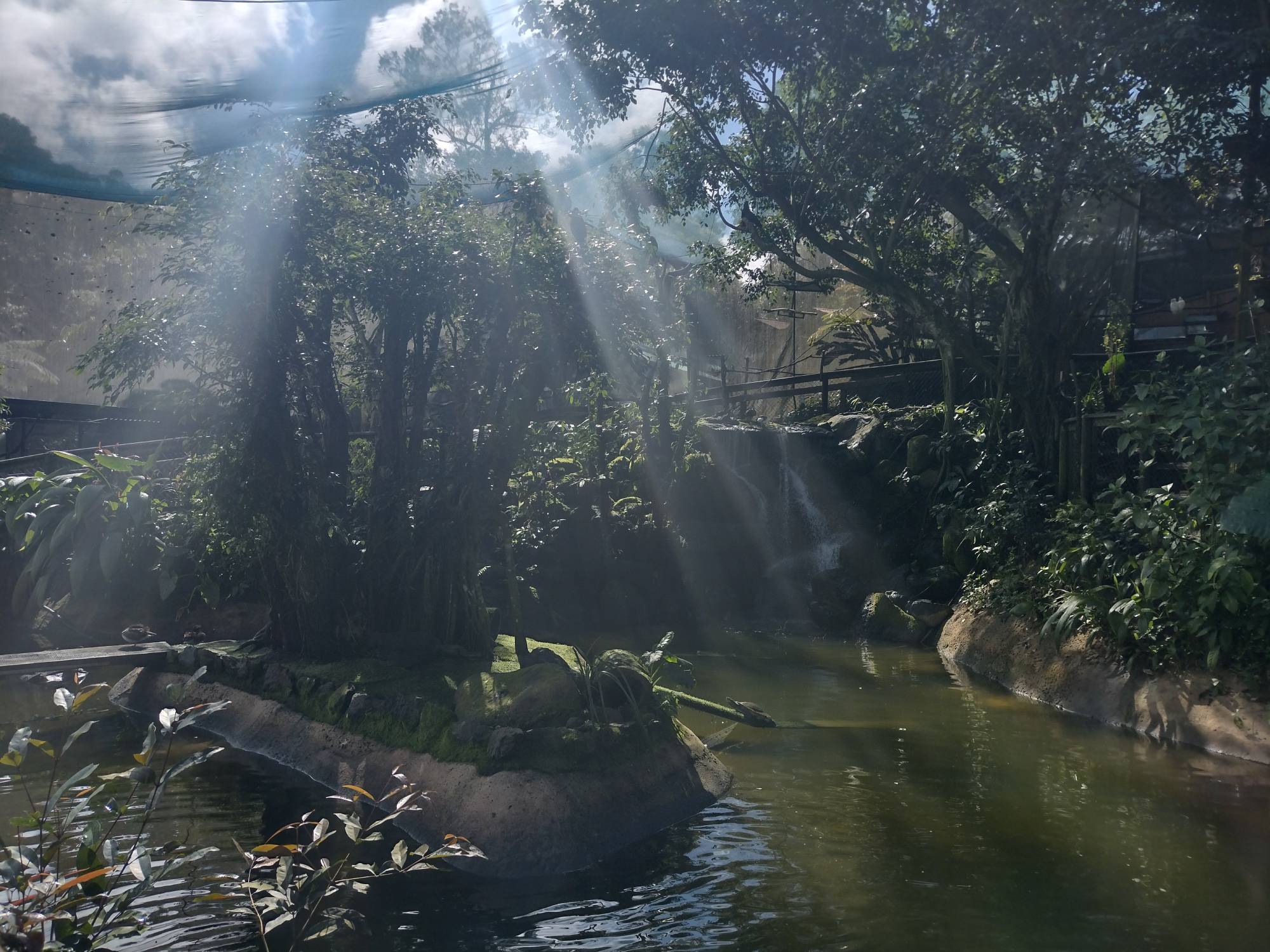 Scenic view of Kuranda Birdworld