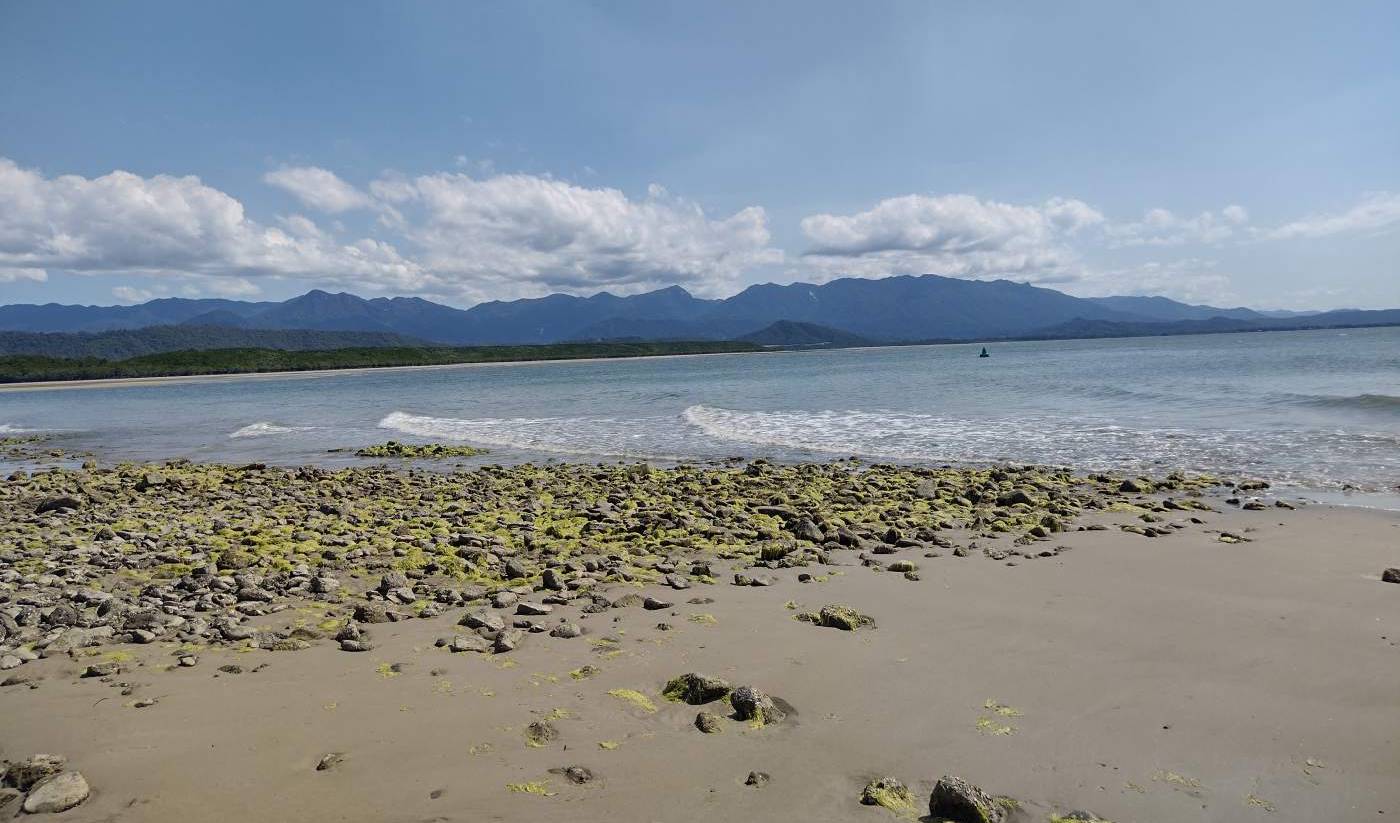 Rocks covered with seaweed on the beach