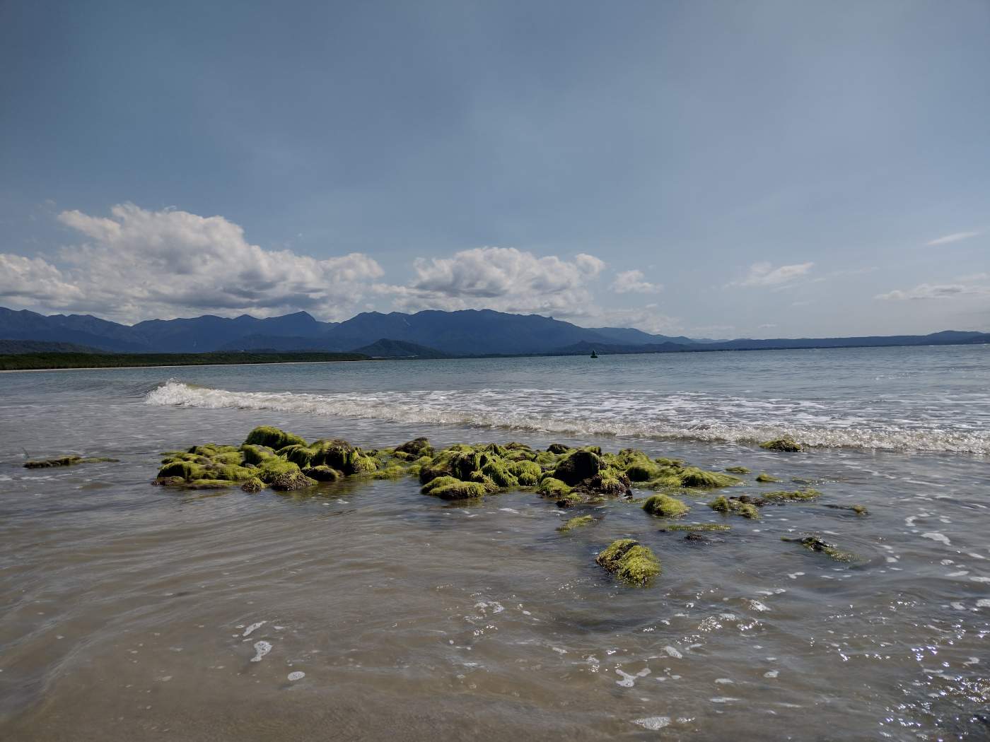 Closeup of rocks covered with seaweed on the beach